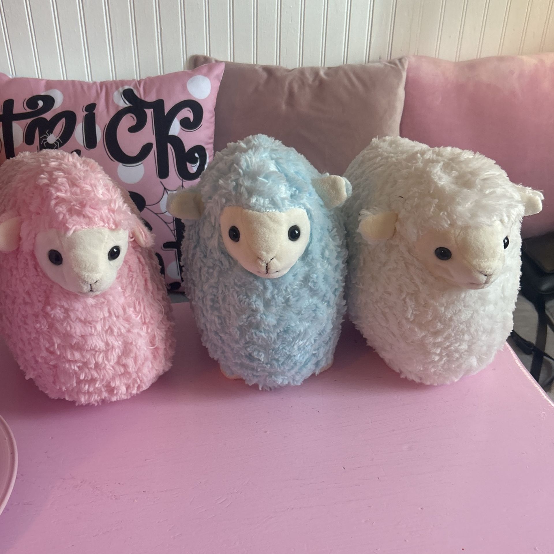 Sheep!