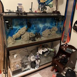 55 Gallon Salt Tank With Glass Top & Wet dry Filter & Protein Skimmer