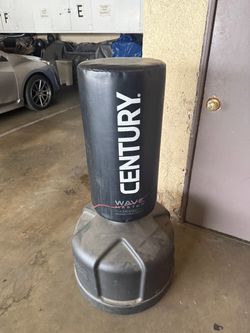 Standing punching bag