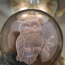 Glass Owl Paperweight 