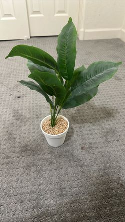 Fake Plant