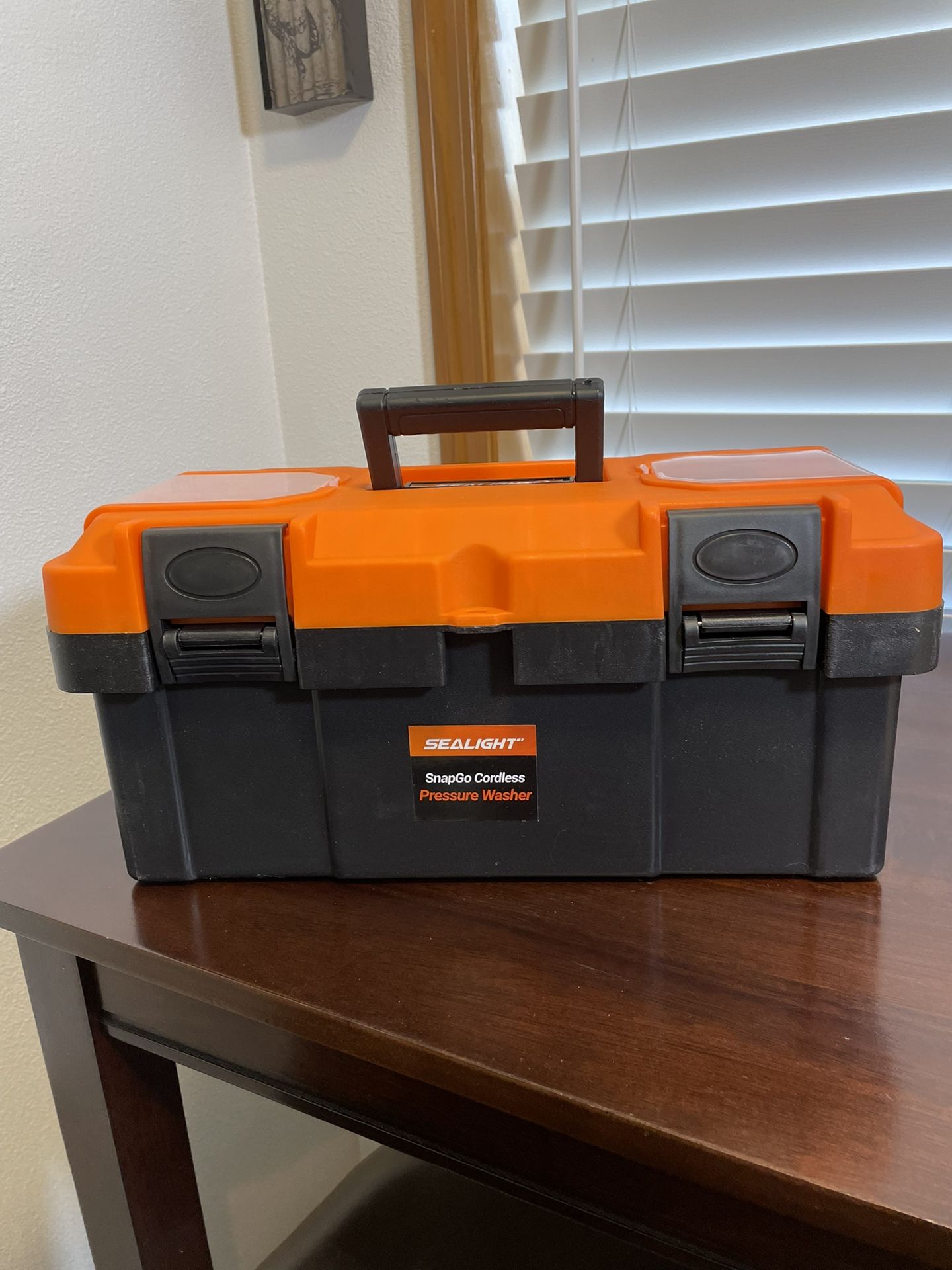 Cordless Pressure Washer 