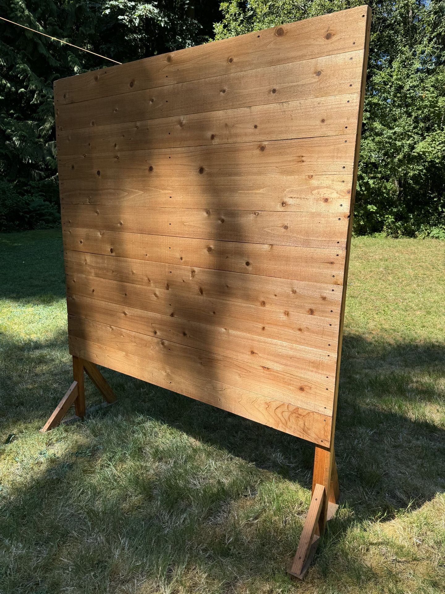 Party Wood Backdrop