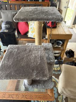 Cat Toy
