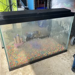 Aquarium / Fish Tanks $60