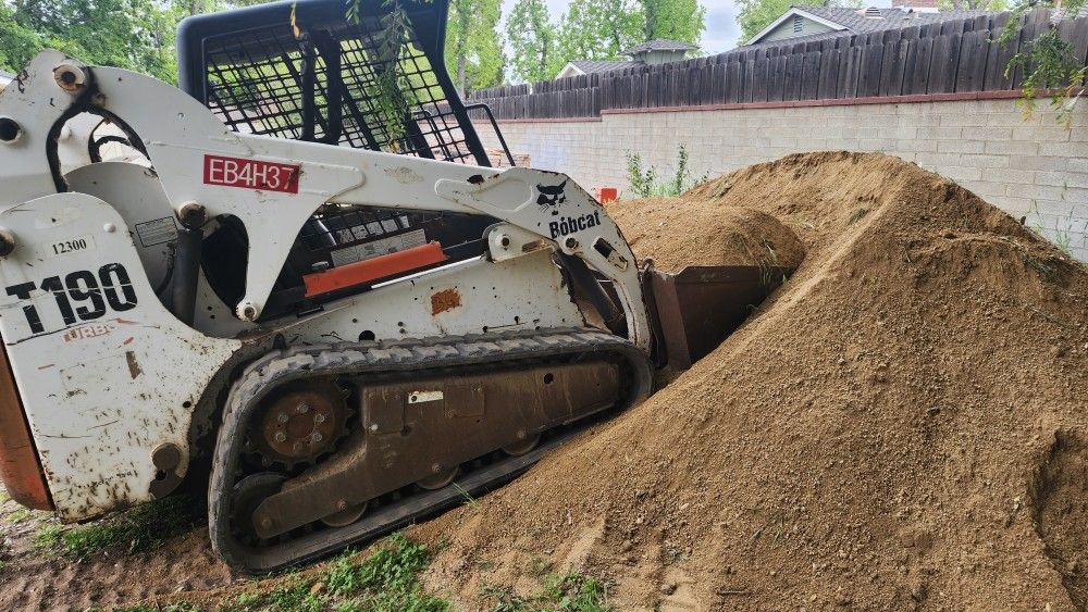 Bobcat