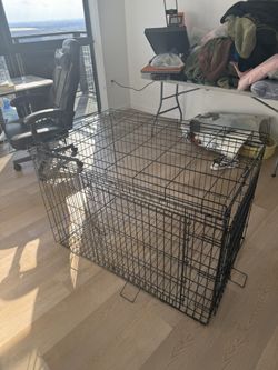 Dog Cage