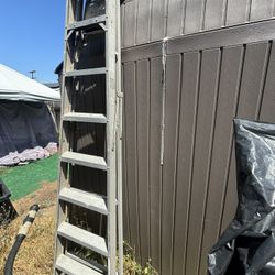8 Ft Ladder 