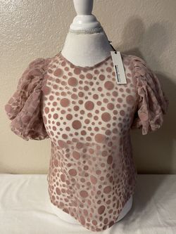 Women’s Sheer Dusty Rose Top