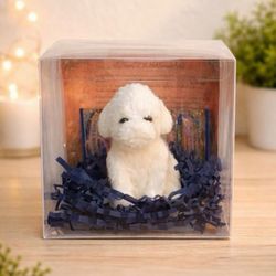 Bubbly Biscuit Bubblebrook Village Soap Kids Gift Set w Trading Card Story Collectible Character