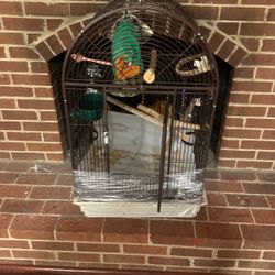 Male love Bird And Two Parakeets 