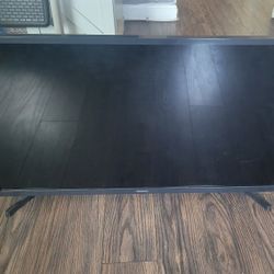 HD Samsung TV (Power and HDMI included