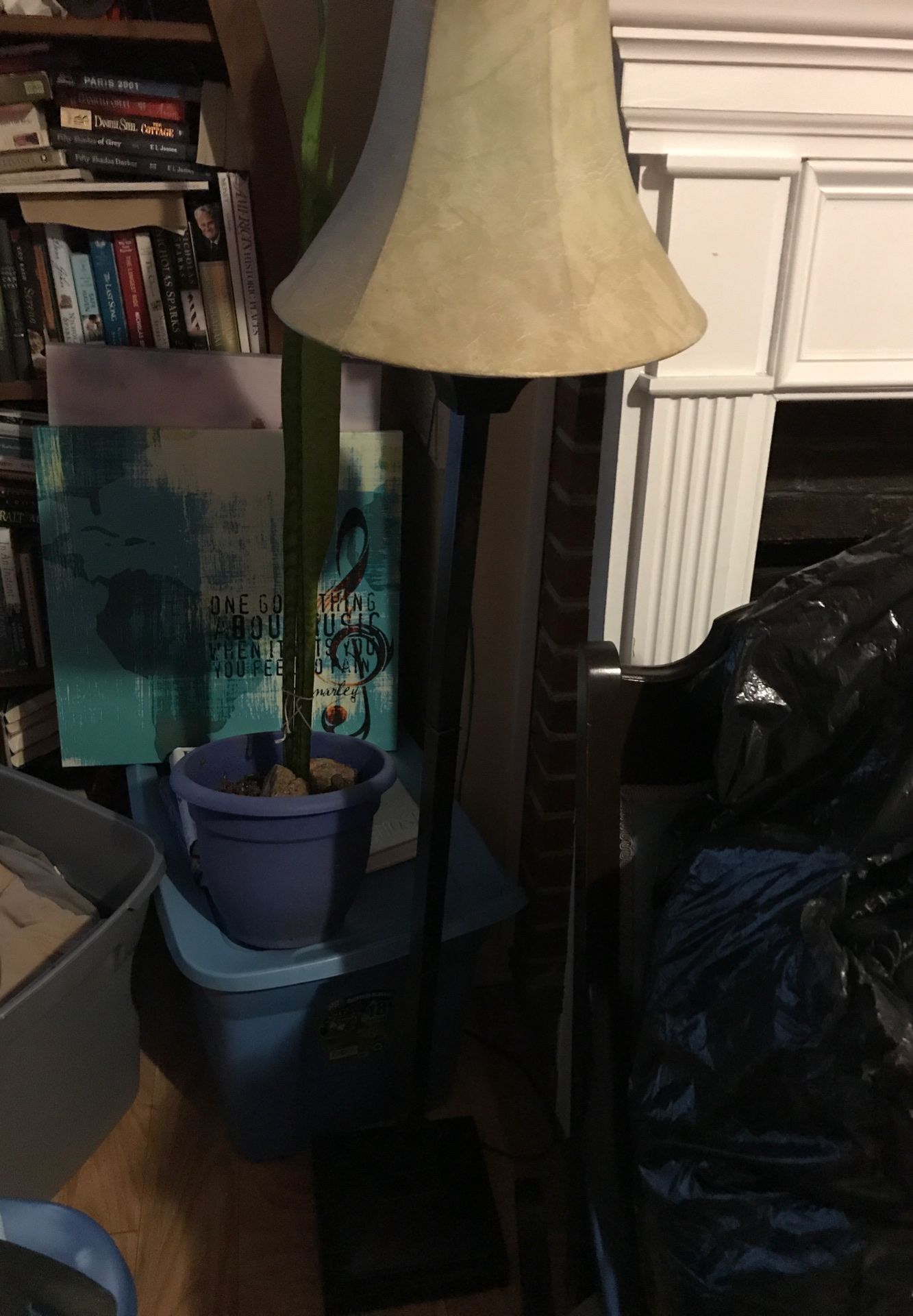 Brown Floor Lamp with Beige/Gold Shade