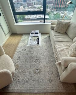 Gray/Ivory Area Rug 5x8