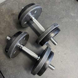 25lb Dumbbells (50lbs total)