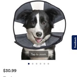 Zen one Dog soft recovery collar