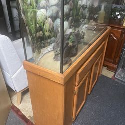 fish tank for reptiles 