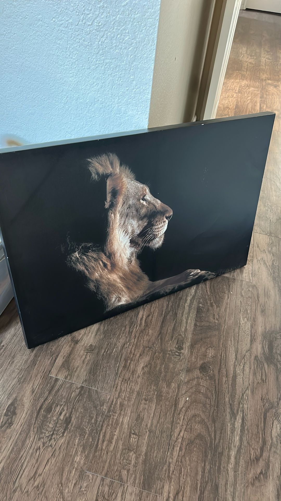 Canvas Painting
