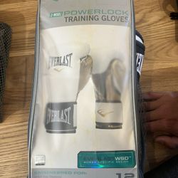 Everlast power lock Training Gloves With Punch Mitts