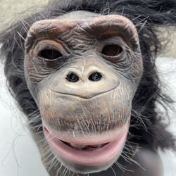 Chimpancé Colleccionble