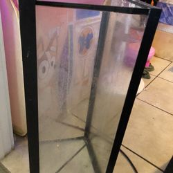 Fish Tank 