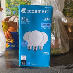 Light Bulbs