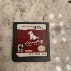 Nintendo DS game