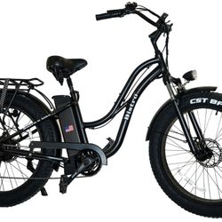 Fat Tire Beach Cruiser Electric Bike By Zeus