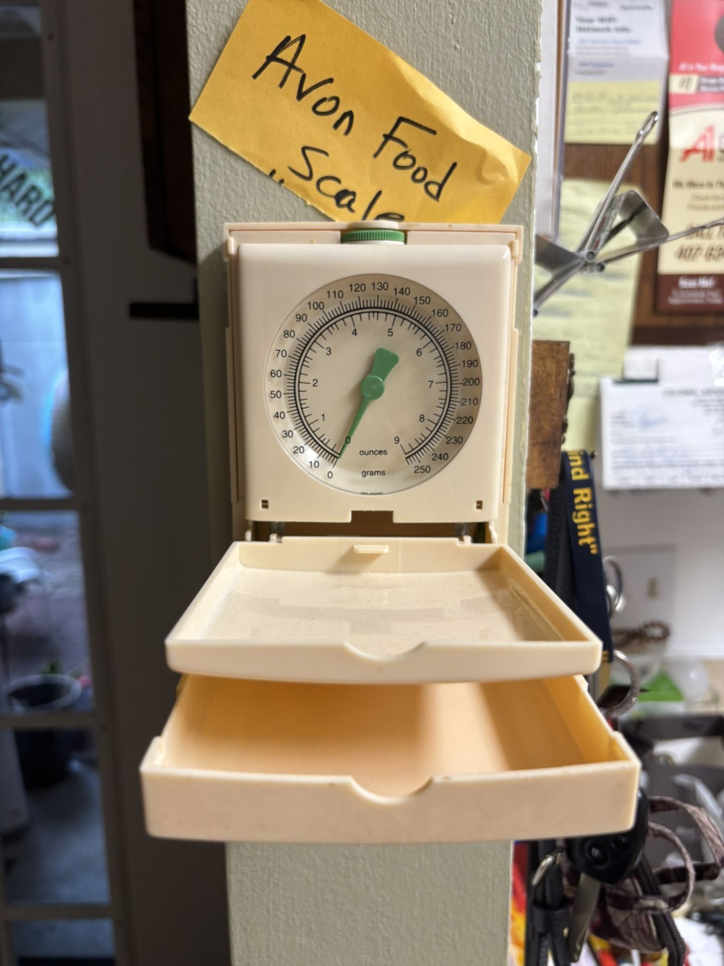 Avon food scale
