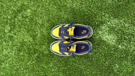 Michigan Dunks Size 4