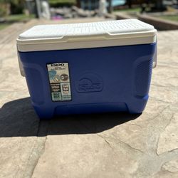 Blue Igloo Cooler 