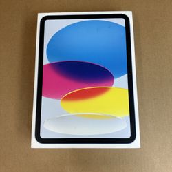 Apple iPad 10th Gen  256GB  Wi-Fi  10.9in  Blue  Apple care plus until Aug 19 2026