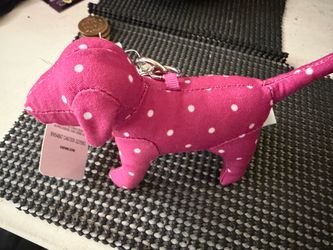 victoria’s Secret pink dog