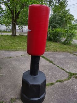  Wave Master Century Punching 🥊 Bag 