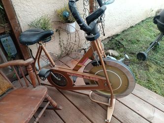 Exercise Bike Schwinn