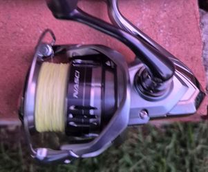 Shimano Nasci w/ Falcon Lowrider combo