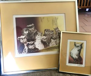 OWL FRAMES / THE LAWYER & THE JURY