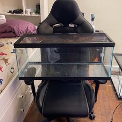 20 Gallon Tank