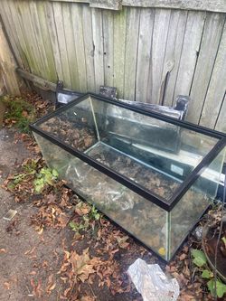 60 and 50 gallon fish tanks