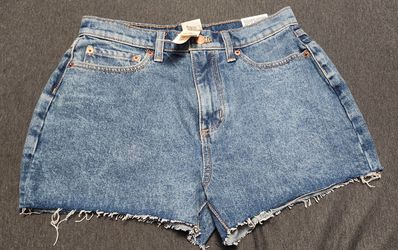 Victoria's Secret PINK High Waisted Shorts Light Blue Size 27