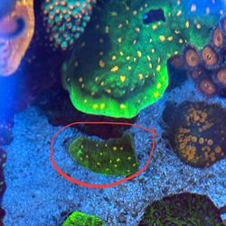 Space Invader Chalice Fake Aquarium Decoration 