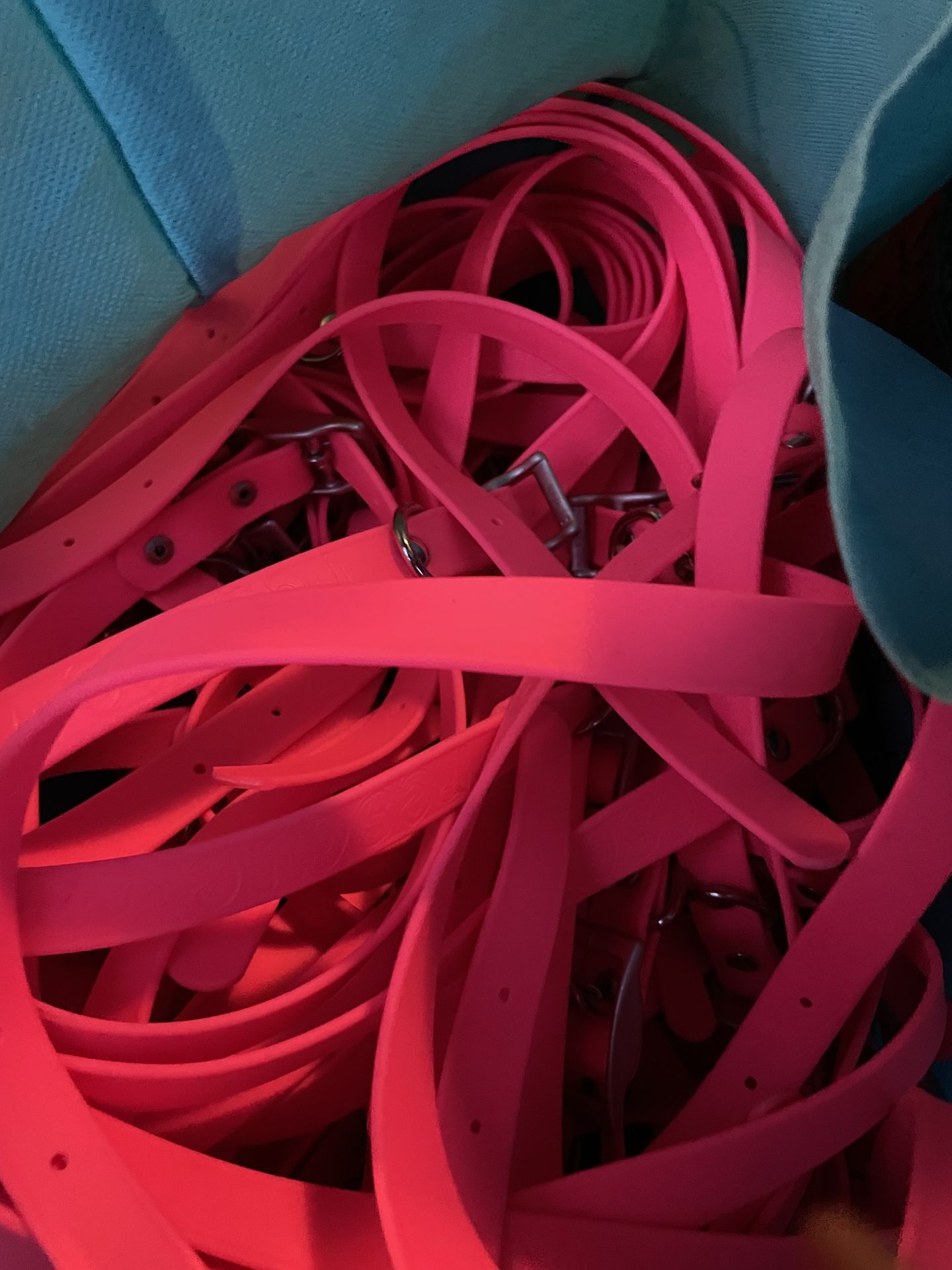 Pet Collars -Pink Buckle Style $1.50 Ea
