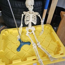 Vintage Skeleton With Stand