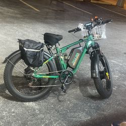 Electric Bike 