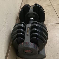 Bowflex Adjustable Dumbbell 