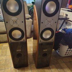 Skyline Tower Speakers 