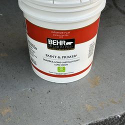 5 Gallons Paint Swiss Coffee Brand New