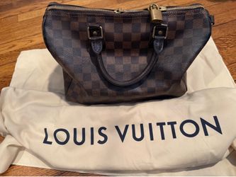 Louis Vuitton Damier Speedy 30 bag