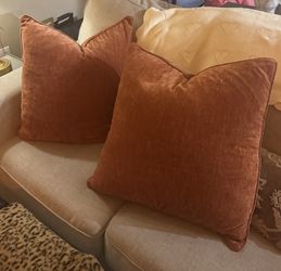 Set Of 2 Throw Pillows
