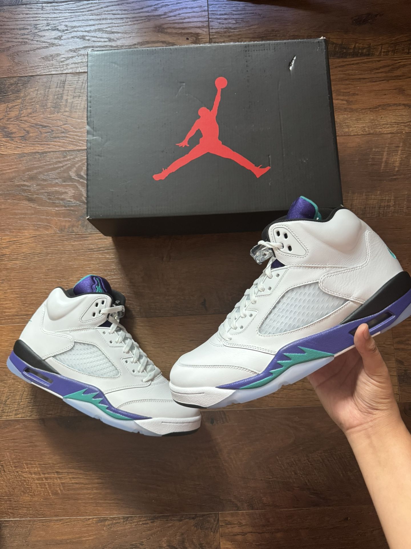 Jordan 5 Grape Size 12